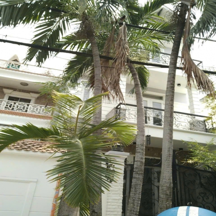 14.6-13.6 TỶ, BÁN NHÀ ĐẸP, MẶT TIỀN D16, TÂY THẠNH, 4 TẦNG, 5x19m - 2