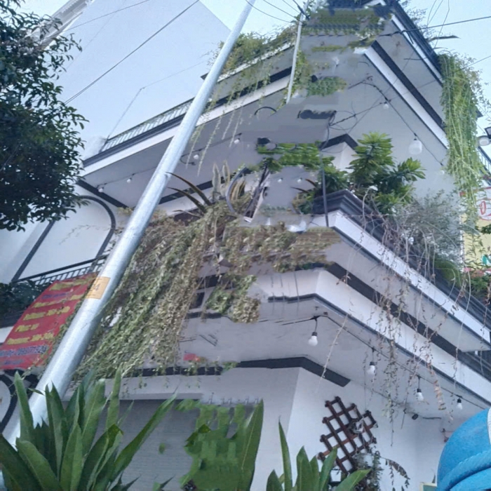 168m2, 3-STOREY FRONTAGE HOUSE FOR SALE - THANH CONG STREET, TAN PHU DISTRICT. 12.3 BILLION VND, SLIGHTLY NEGOTIABLE. - 2