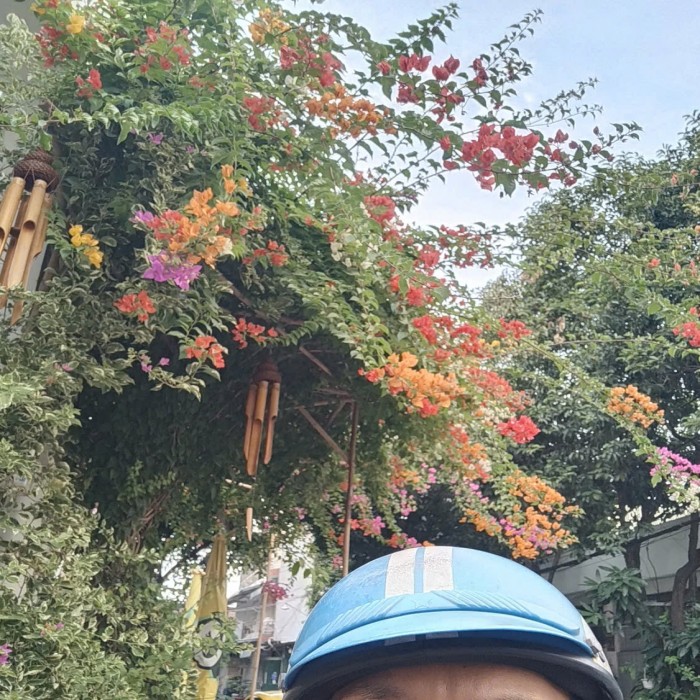 A nice Alley, Luỹ Bán Bích, Corner Lot, 4x15.2m, Just Over 8 Billion VND