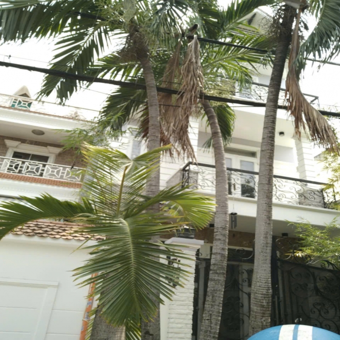 14.6-13.6 TỶ, BÁN NHÀ ĐẸP, MẶT TIỀN D16, TÂY THẠNH, 4 TẦNG, 5x19m - 4