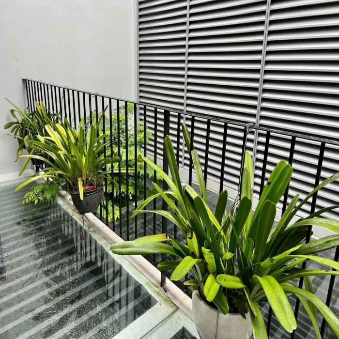25.5-18.5 TỶ, BÁN NHÀ MẶT TIỀN, NỞ HẬU, 8.3x28m, NGUYỄN HỮU TIẾN, 4 TẦNG MỚI ĐẸP - 8